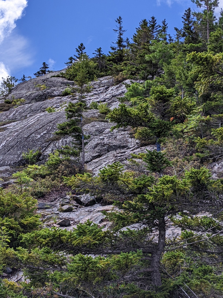 No description provided for: /2023/07-09/0819-bald-mountain/photo05.html