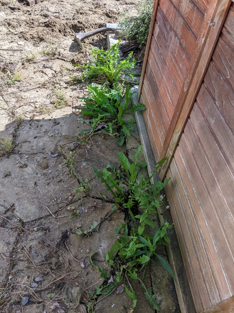 No description provided for: /2023/07-09/0904-hot-tub-weeds/photo01.html