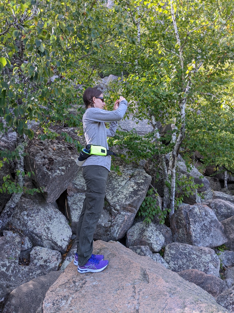 No description provided for: /2023/10-12/1001-precipice-trail/photo02.html