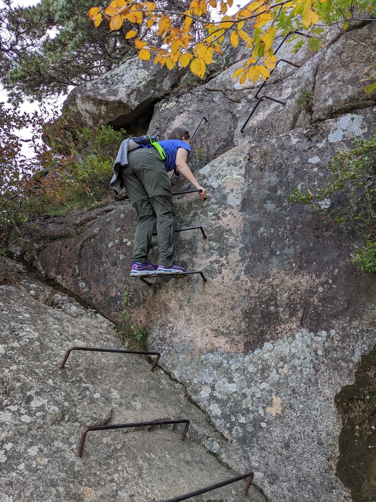 No description provided for: /2023/10-12/1001-precipice-trail/photo16.html