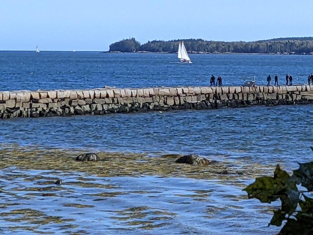 No description provided for: /2023/10-12/1008-lighthouse-visit/photo03.html