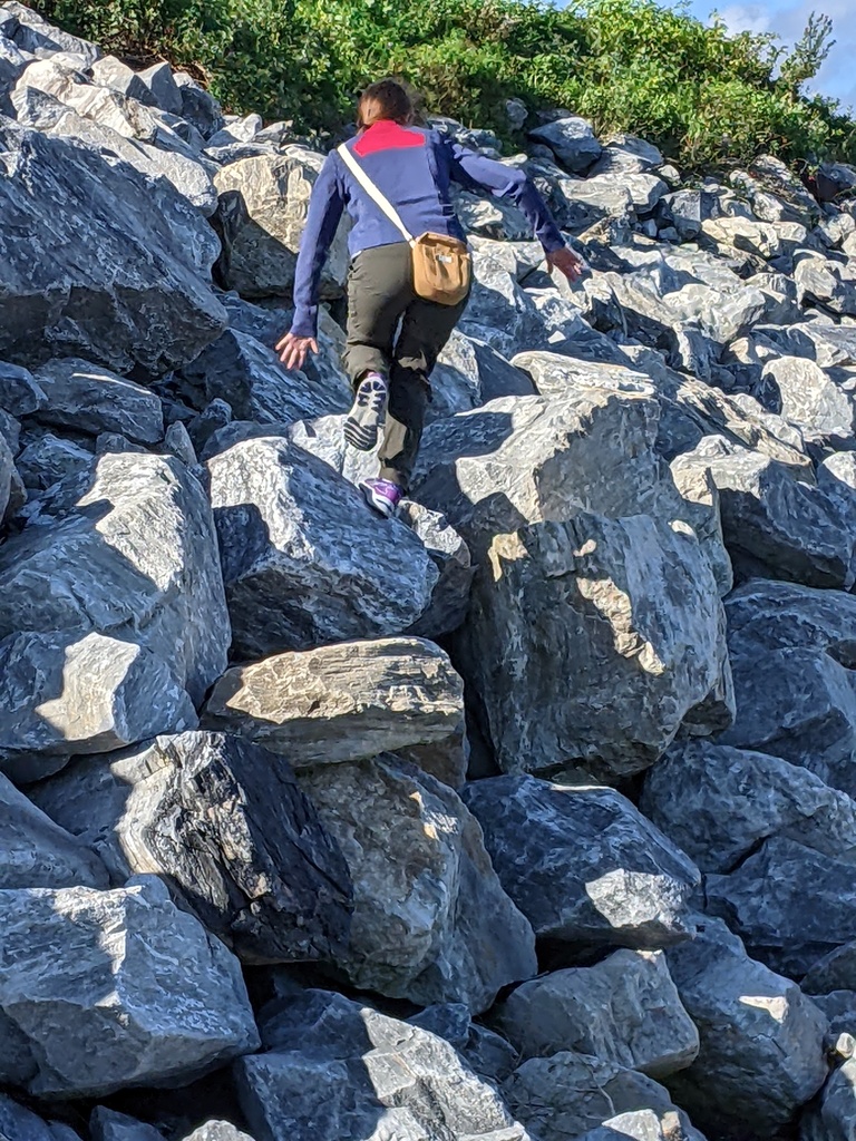 No description provided for: /2023/10-12/1008-lighthouse-visit/photo05.html