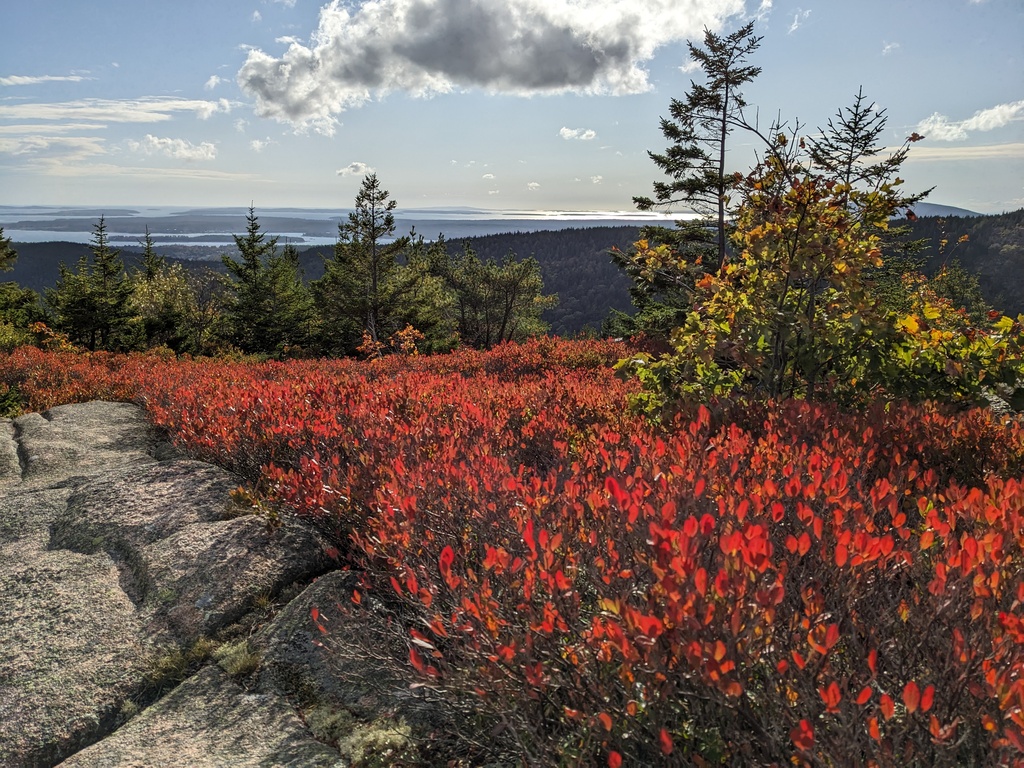 No description provided for: /2023/10-12/1009-erin-penobscot-mt/photo03.html