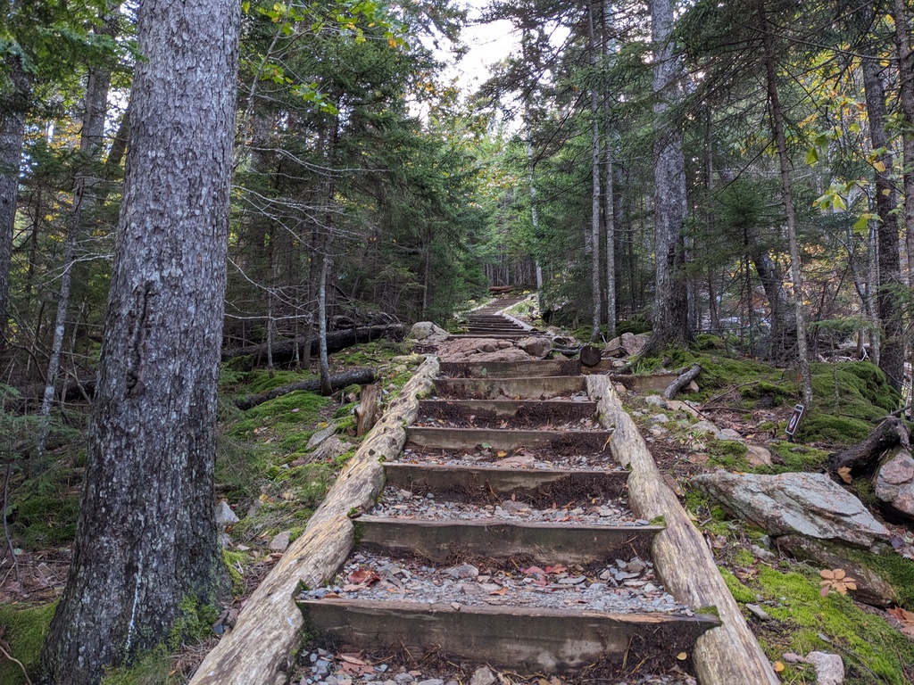 No description provided for: /2023/10-12/1009-erin-penobscot-mt/photo08.html