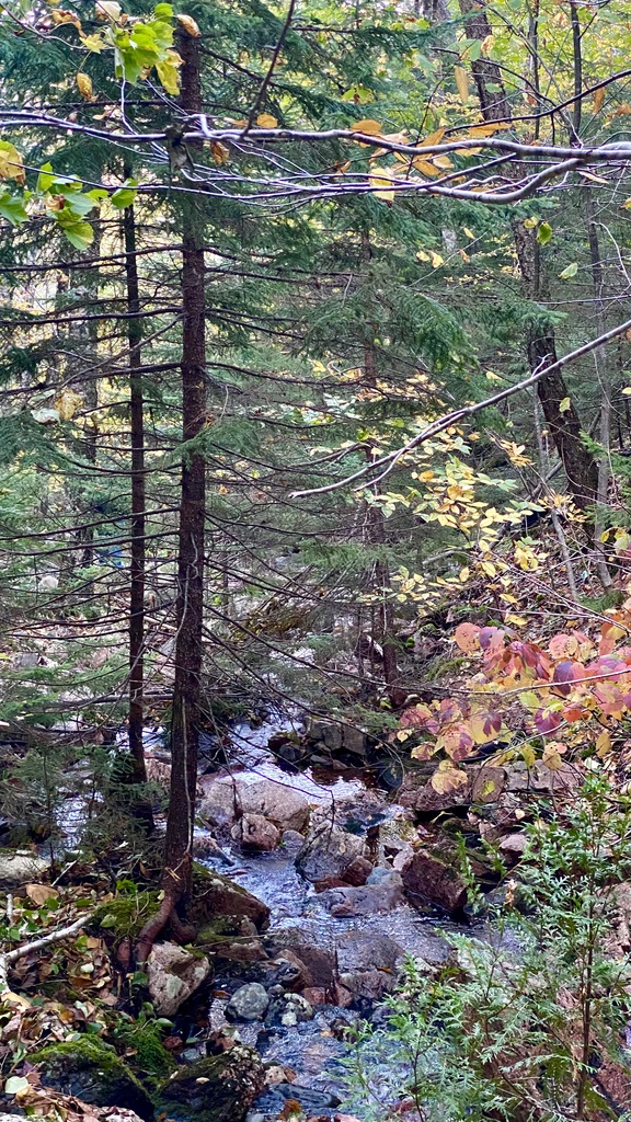 No description provided for: /2023/10-12/1009-kat-penobscot-mt/_2/photo39.html