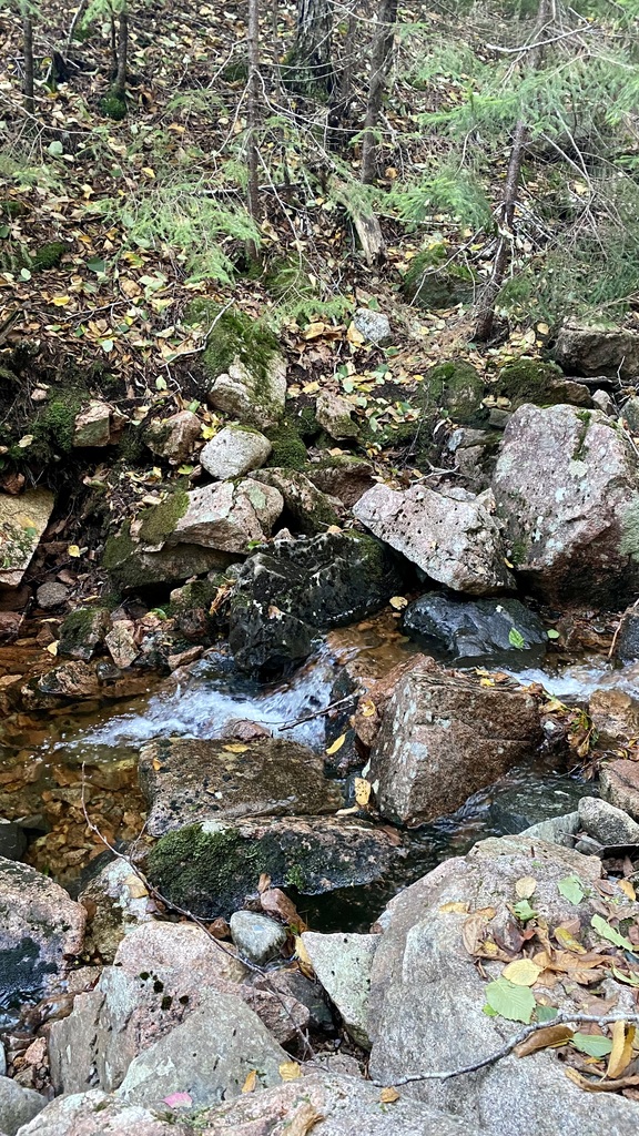 No description provided for: /2023/10-12/1009-kat-penobscot-mt/_3/photo41.html