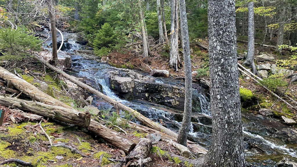 No description provided for: /2023/10-12/1009-kat-penobscot-mt/_3/photo42.html