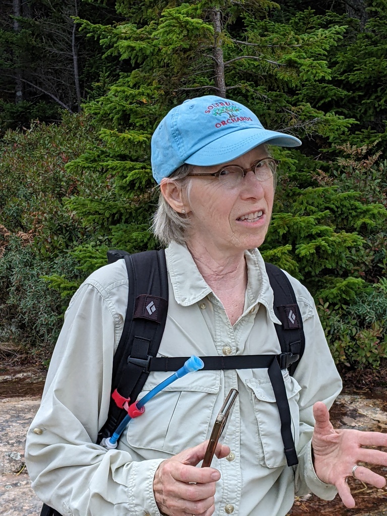 No description provided for: /2023/10-12/1009-penobscot-mt/photo06.html