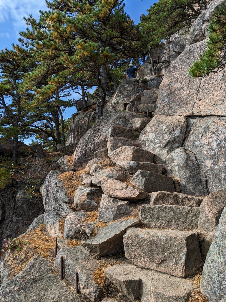 No description provided for: /2023/10-12/1011-erin-beehive/photo02.html