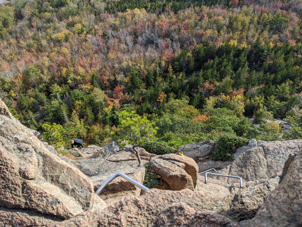 No description provided for: /2023/10-12/1011-erin-beehive/photo05.html