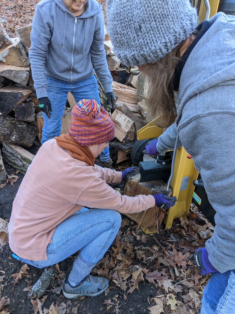 No description provided for: /2023/10-12/1123-wood-split-girls/photo03.html