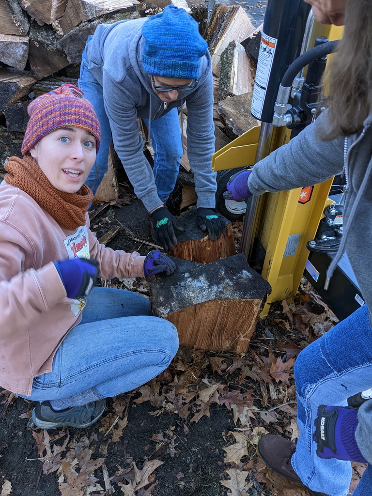 No description provided for: /2023/10-12/1123-wood-split-girls/photo04.html