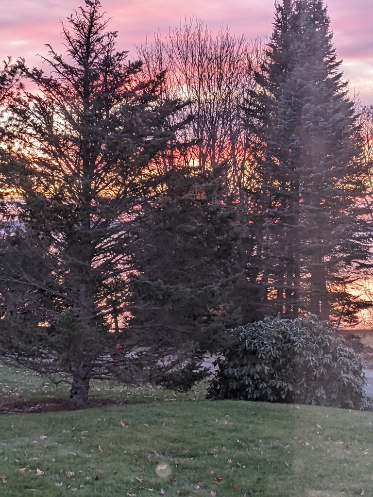 No description provided for: /2023/10-12/1216-sunrise/photo01.html