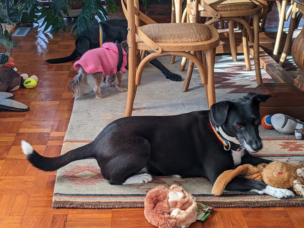 No description provided for: /2023/10-12/1222-christmas/photo01.html