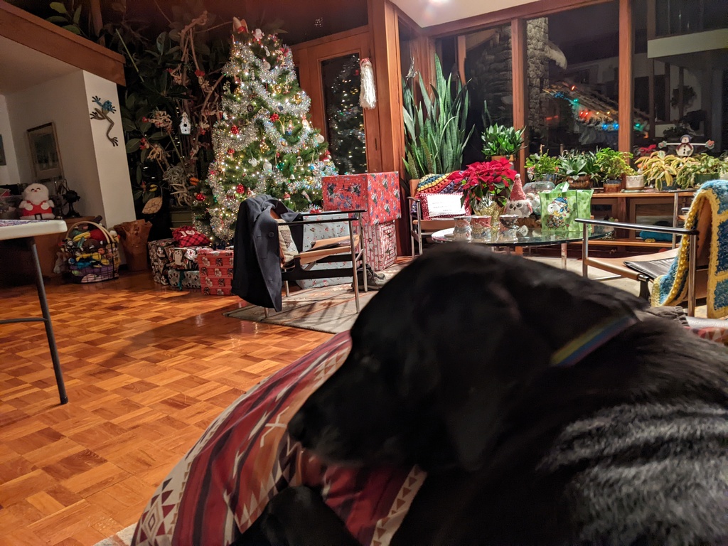 No description provided for: /2023/10-12/1222-christmas/photo02.html