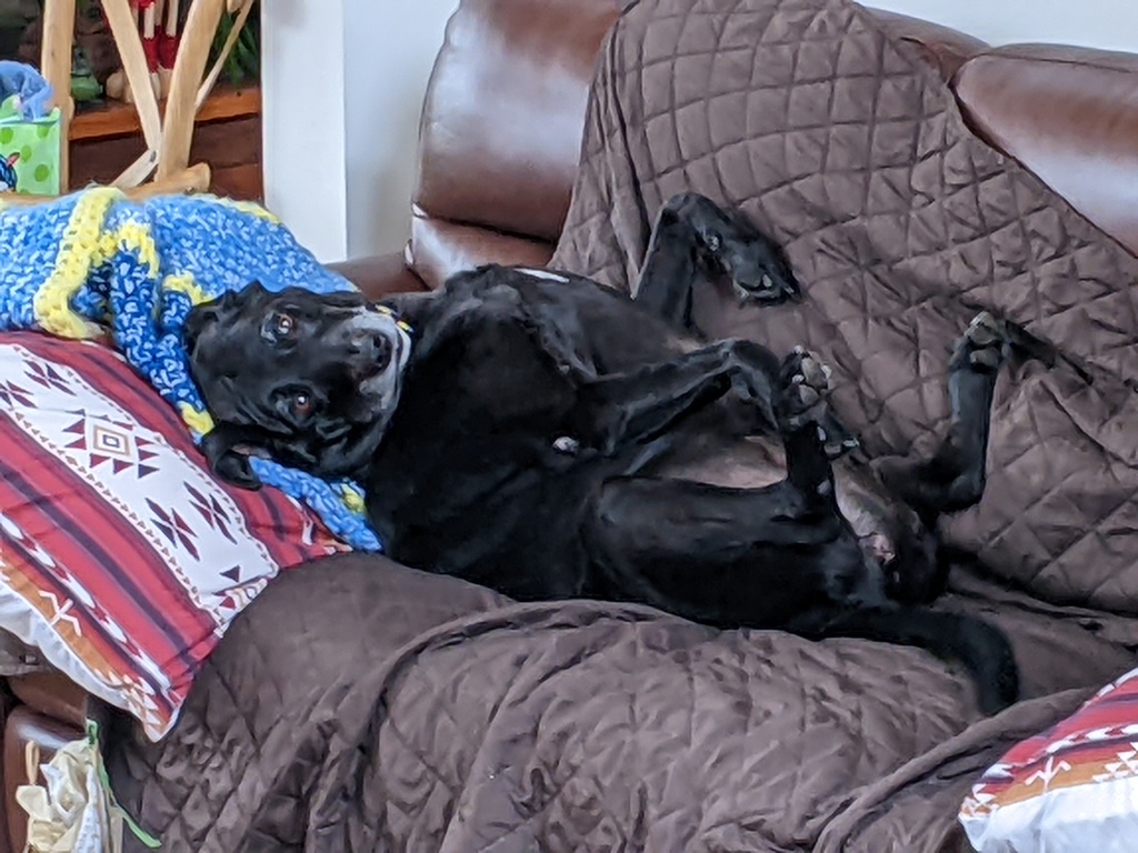 No description provided for: /2023/10-12/1224-christmas/photo01.html