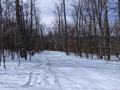 Image file: photo09.jpg