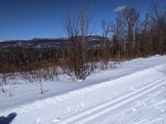 Image file: photo06.jpg