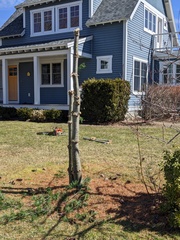 Image file: photo01.jpg