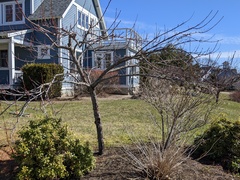 Image file: photo01.jpg