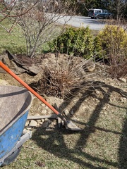 Image file: photo01.jpg