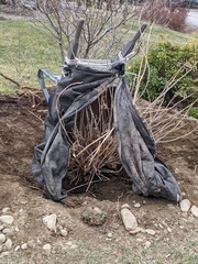 Image file: photo02.jpg