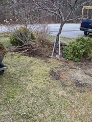 Image file: photo04.jpg