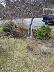 Image file: photo05.jpg