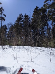 Image file: photo02.jpg