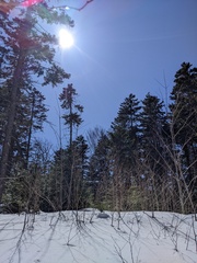 Image file: photo03.jpg