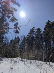 Image file: photo08.jpg