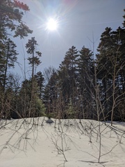 Image file: photo12.jpg