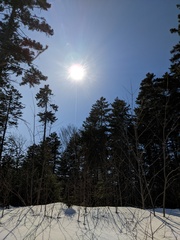 Image file: photo17.jpg