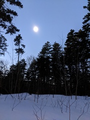 Image file: photo18.jpg