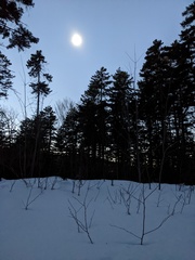 Image file: photo20.jpg