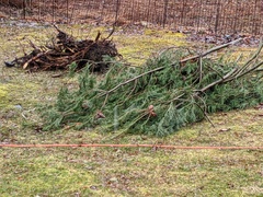 Image file: photo01.jpg