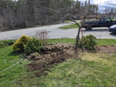 Image file: photo01.jpg