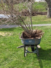 Image file: photo02.jpg