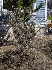 Image file: photo01.jpg