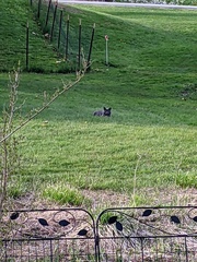 Image file: photo01.jpg