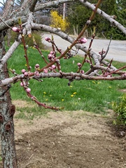 Image file: photo01.jpg