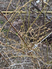 Image file: photo02.jpg