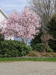 Image file: photo04.jpg