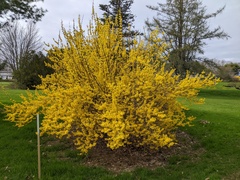 Image file: photo05.jpg