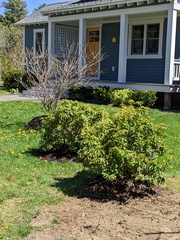 Image file: photo01.jpg