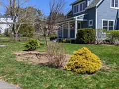 Image file: photo02.jpg