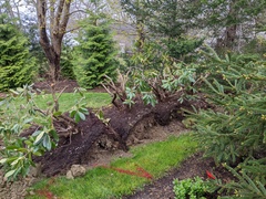 Image file: photo05.jpg