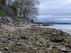 Image file: photo18.jpg