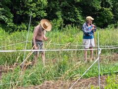 Image file: photo02.jpg