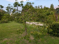 Image file: photo01.jpg